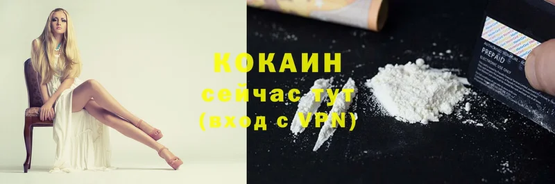 mega как зайти  что такое   Ртищево  Cocaine Эквадор 