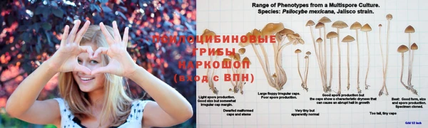 метамфетамин Осташков