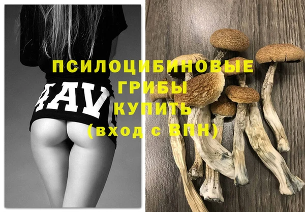 соль ск Осинники