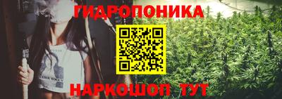 apvp Камышлов