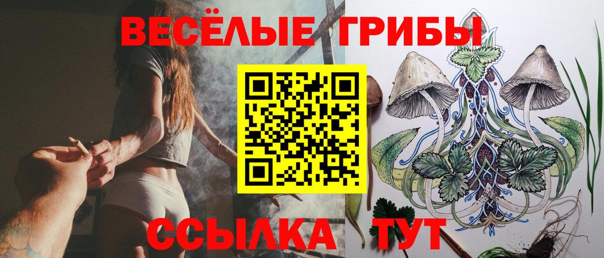 Ртищево  Галлюциногенные грибы Psilocybe  Псилоцибиновые грибы ЛСД  Вход с VPN 
